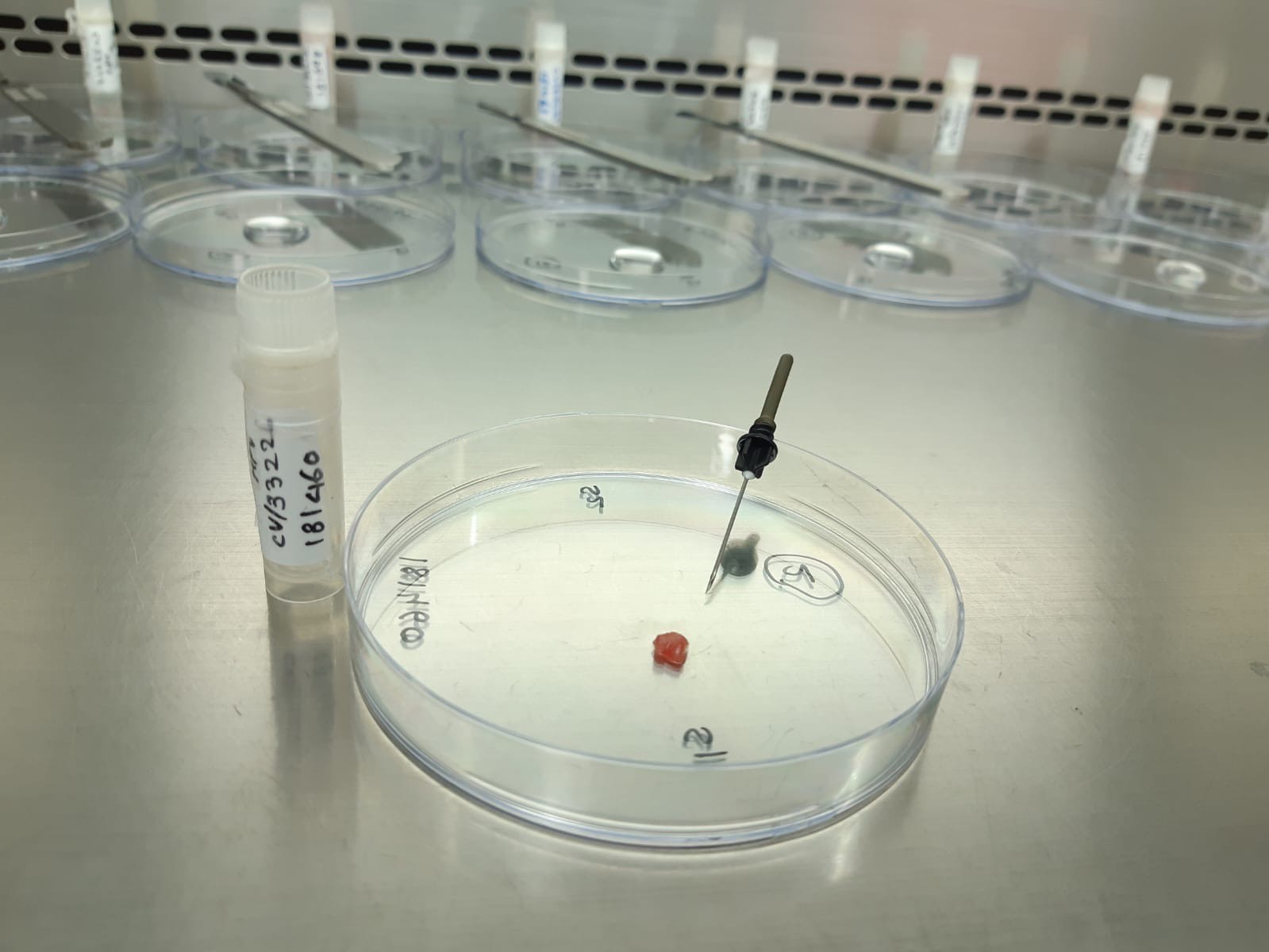 Biospecimen Lab